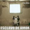 Download track Esclavo De Amor