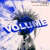 Download track The Volume (Original Mix)