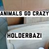 Download track Animals Go Crazy