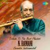 Download track Thillana N. Ramani (Live)