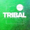 Download track Tribal Cafe' (Original Mix)