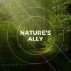 Download track Slow Nature Rain