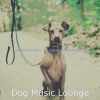 Download track Glorious Solo Piano Jazz - Vibe For Reducing Dog Stress