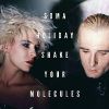 Download track Shake Your Molecules (Original)