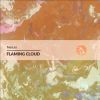 Download track Flaming Cloud (Extended Mix)