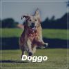 Download track Four-Legged Friends