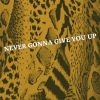 Download track Never Gonna Give You Up (Pianoforte)