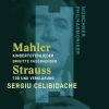 Download track Kindertotenlieder V. In Diesem Wetter, In Diesem Braus - Sergiu Celibidache, Munich Philharmonic