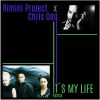 Download track It's My Life (Remix Extended)