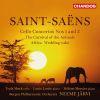 Download track Le Carnaval Des Animaux, R. 125 (Arr. For 2 Pianos & Orchestra): IV. Tortues