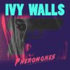 Download track Pheromones