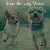 Download track Relaxed Solo Piano Jazz - Vibe For Doggy Training