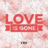 Download track Love Is Gone (Instrumental)