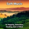 Download track Therapeutic Ambient Music To Fall Asleep To