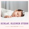 Download track Wiegenlieder Für Babys