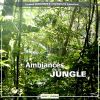 Download track Jungle Ocean Et Ara Macao