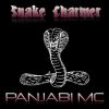 Download track Snake Charmer (Dance Remix Radio Edit)