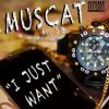 Download track I Just Want