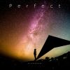 Download track Perfect