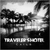 Download track Traveler's Hotel