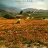 Download track Rolling Green Hills