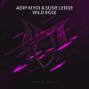 Download track Wild Rose (Original Mix)