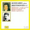 Download track 13 Sonata For Piano No. 6 In F Major, Op. 10 No. 2 _ II. Allegretto