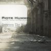 Download track Piotr Hummel BTW AI