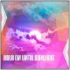 Download track Hold On Until Sunlight