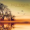 Download track Jazz Relaxant Pour La Nuit