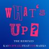 Download track What's Up? (Sharapov Radio Mix)