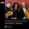 Download track Piano Trio No. 1 In D Minor, Op. 63: IV. Mit Feuer