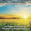 Download track Relaxation Music, Pt. 25
