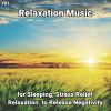 Download track Relaxation Music, Pt. 48