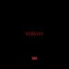 Download track Willow