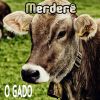 Download track O Gado