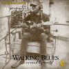 Download track Walking Blues