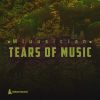 Download track Tears Of Music