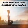 Download track Relajación Motivada De Benson