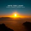 Download track Into The Light (Ambient Version)