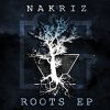 Download track Roots