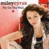 Download track Fly On The Wall (Digital Dog Edit)