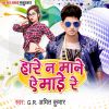 Download track Hare Na Mane Ae Mai Re