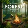 Download track Windy Forest, Pt. 1