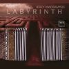 Download track Online Labyrinth Music