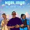 Download track Ngelinye