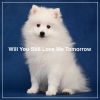 Download track Will You Still Love Me Tomorrow (Instrumental)