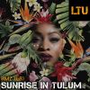 Download track Sunrise In Tulum (Original Mix)