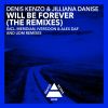 Download track Will Be Forever (Meridian Remix)