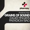 Download track Paradigm Bag (Original Mix)